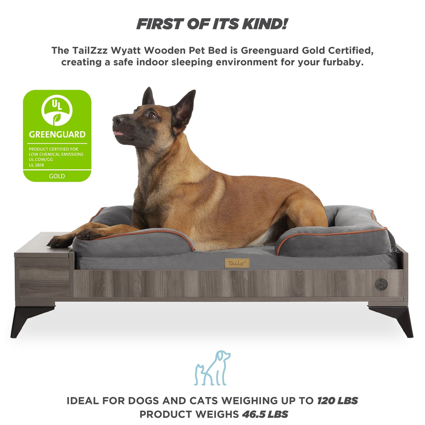 Wyatt Large to Extra Large Wooden Pet Bed with Mattress - Greenguard Gold Certified for Ultimate Comfort