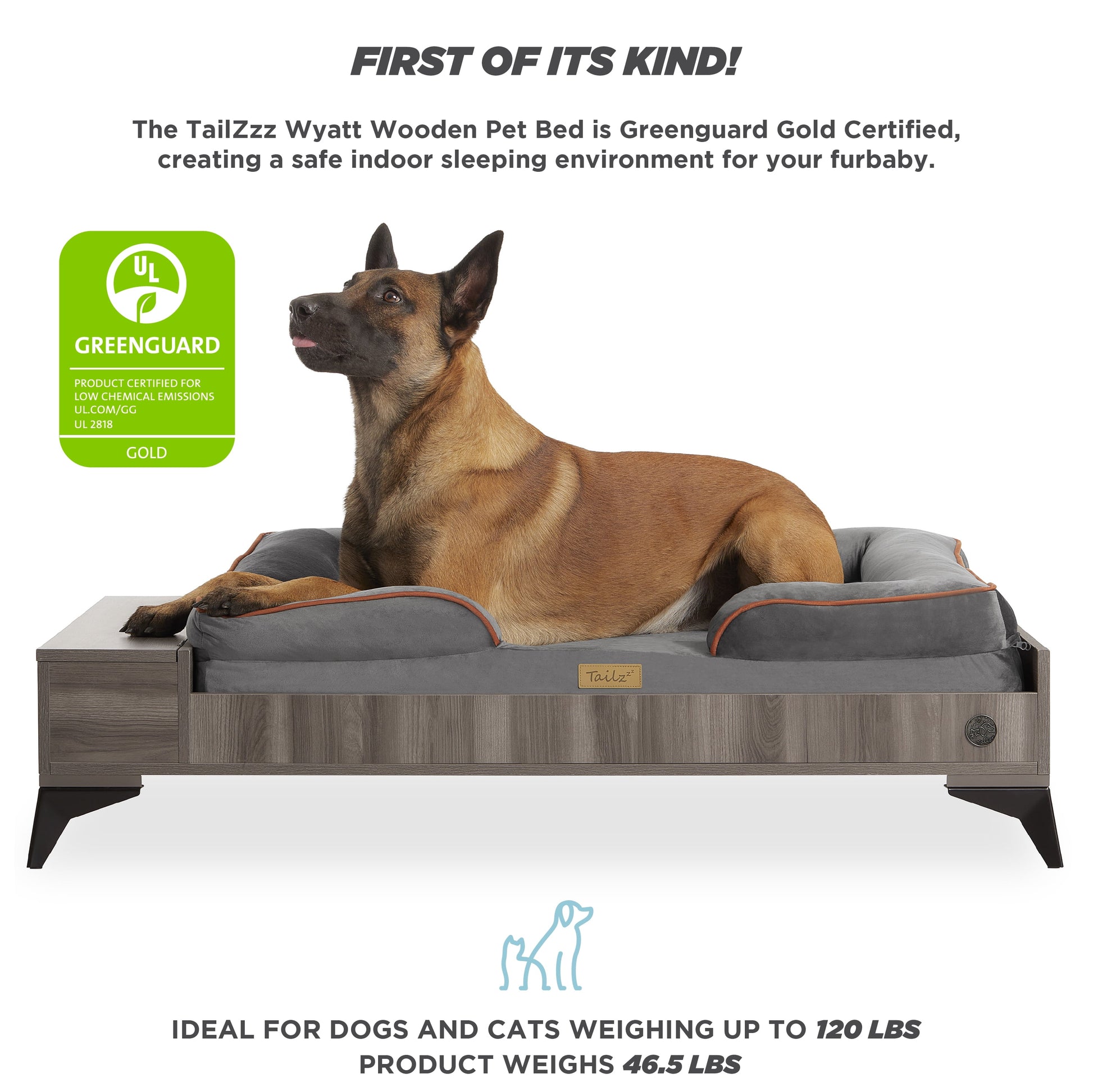 Wyatt Large to Extra Large Wooden Pet Bed with Mattress - Greenguard Gold Certified for Ultimate Comfort