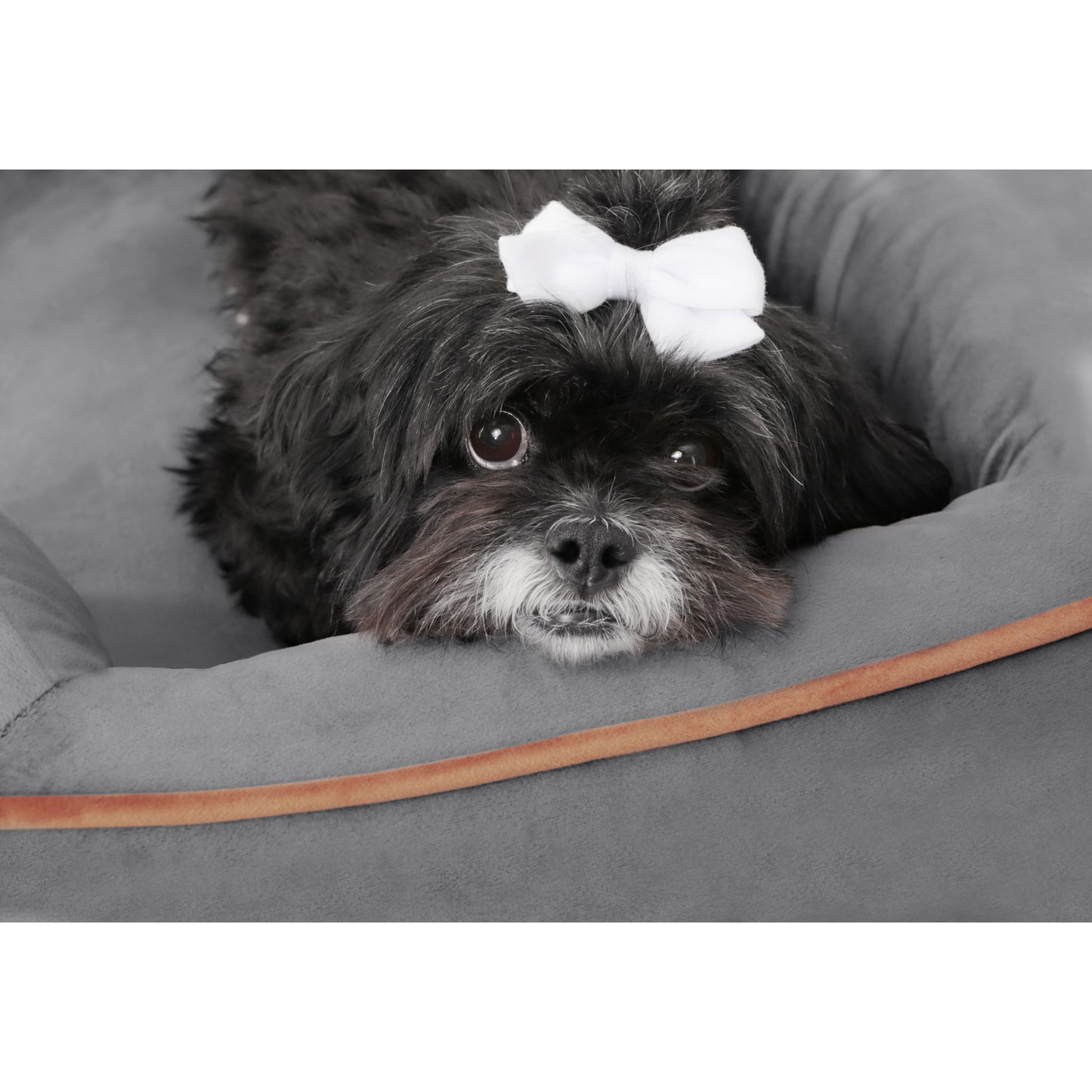 Wyatt Large to Extra Large Wooden Pet Bed with Mattress - Greenguard Gold Certified for Ultimate Comfort